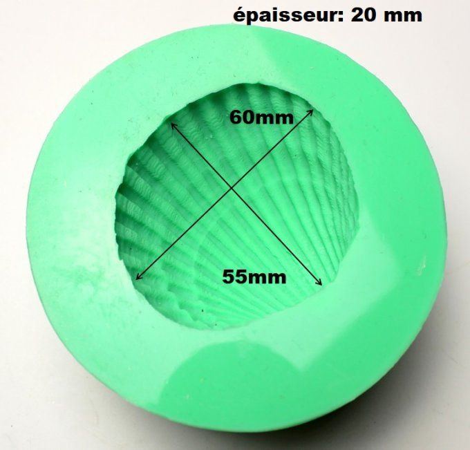 Moule en silicone Rtv : Coquillage